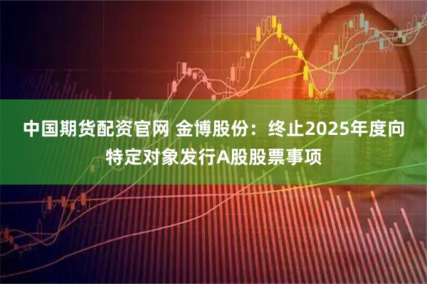中国期货配资官网 金博股份：终止2025年度向特定对象发行A股股票事项