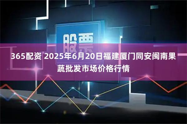 365配资 2025年6月20日福建厦门同安闽南果蔬批发市场价格行情