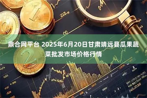 鼎合网平台 2025年6月20日甘肃靖远县瓜果蔬菜批发市场价格行情